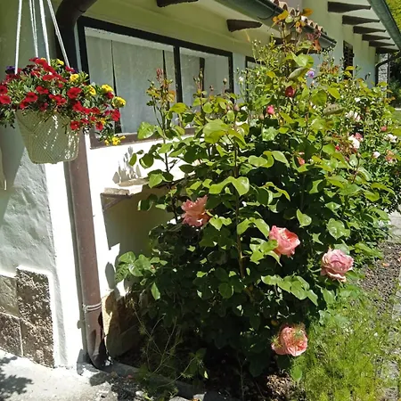 La Casa Del Mulino * Fossombrone