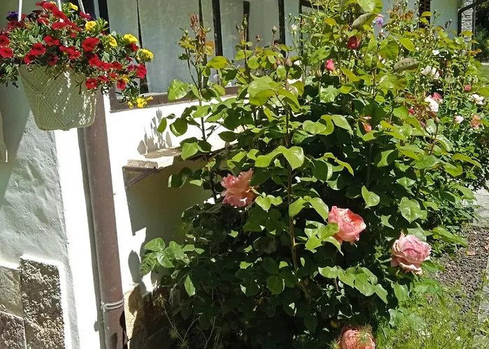 La Casa Del Mulino * Fossombrone